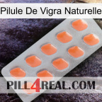 Natural Vigra Pill 26